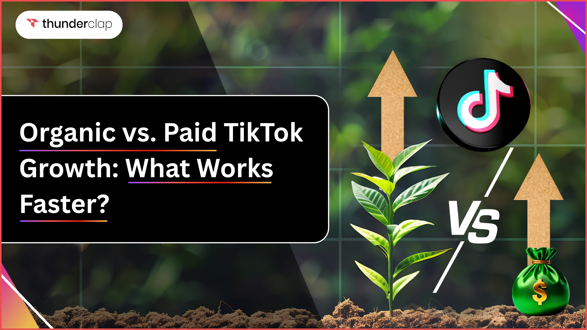 Organic vs. Paid TikTok Growth: What Works Faster In 2025
