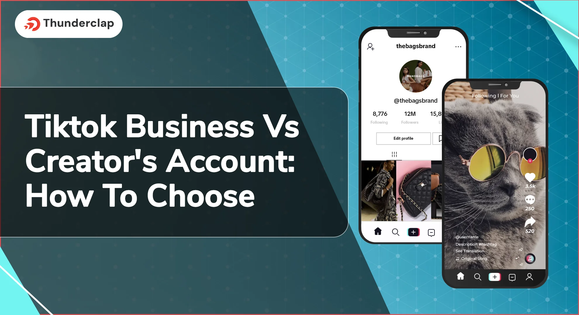 TikTok Business Vs Creators Account