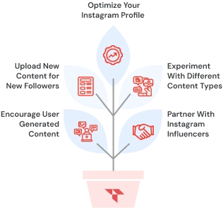 Best Organic Strategies To Grow On Instagram