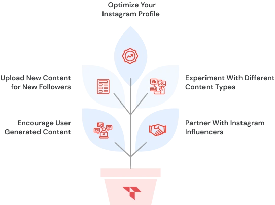 Best Organic Strategies To Grow On Instagram