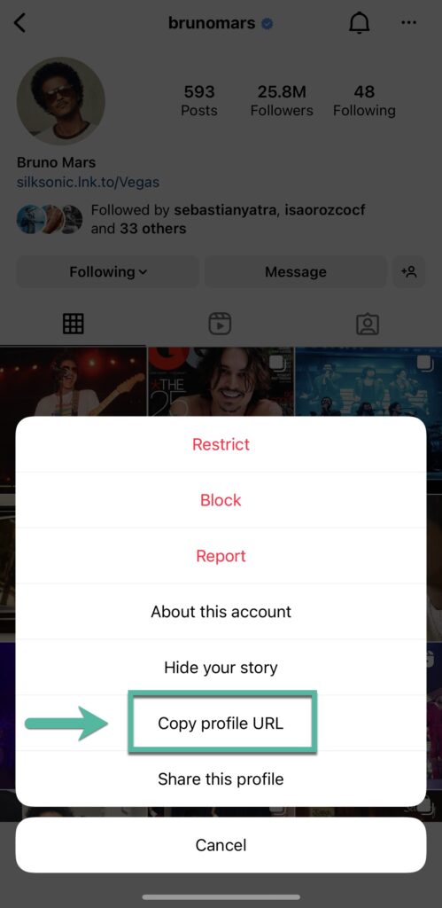 Copy URL Instagram profile